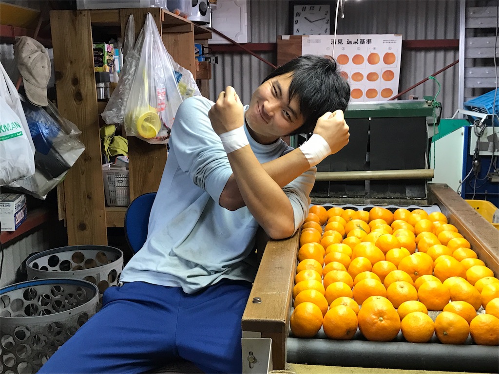 f:id:kosaku-tabi:20181219221207j:image f:id:kosaku-tabi:20181219221207j:image