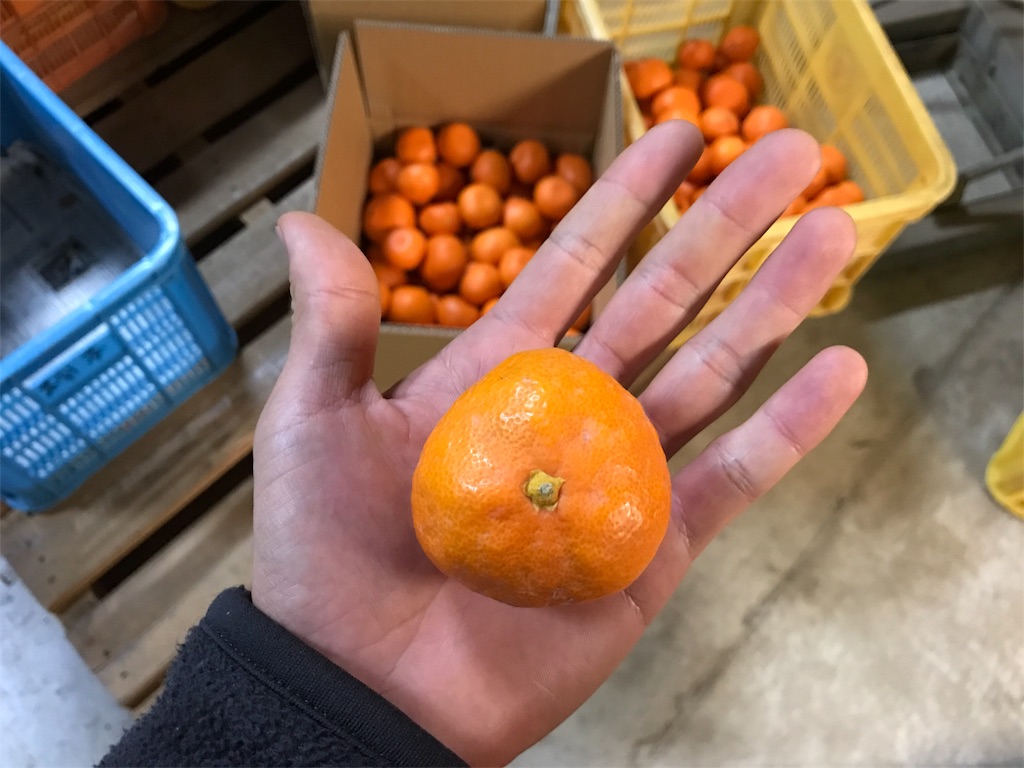 f:id:kosaku-tabi:20181220131052j:image f:id:kosaku-tabi:20181220131052j:image