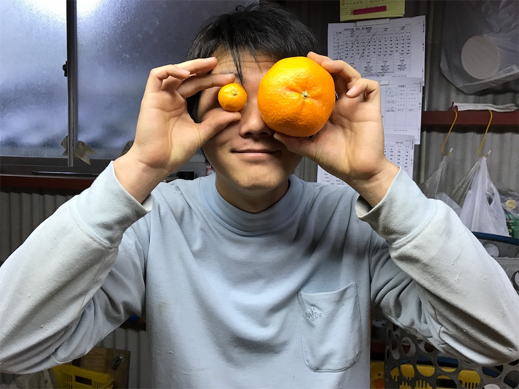 f:id:kosaku-tabi:20181220131058j:image f:id:kosaku-tabi:20181220131058j:image