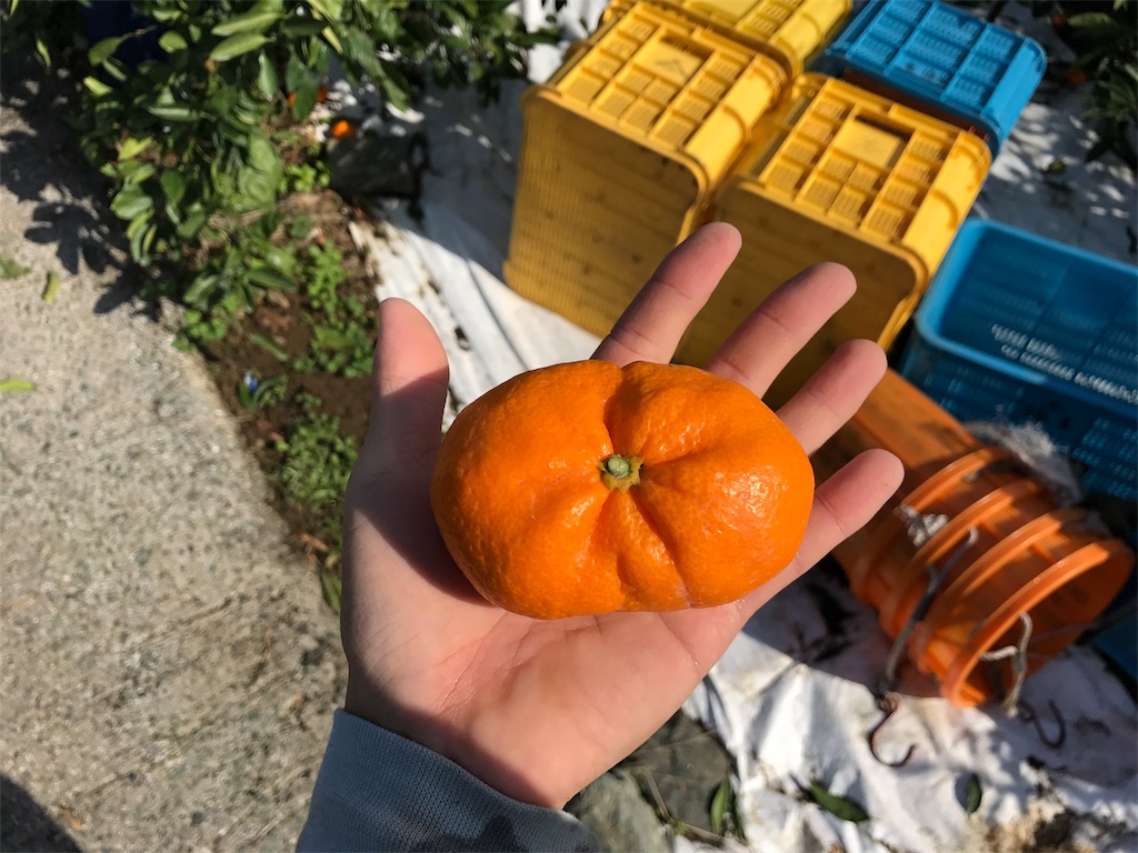 f:id:kosaku-tabi:20181220131117j:image f:id:kosaku-tabi:20181220131117j:image