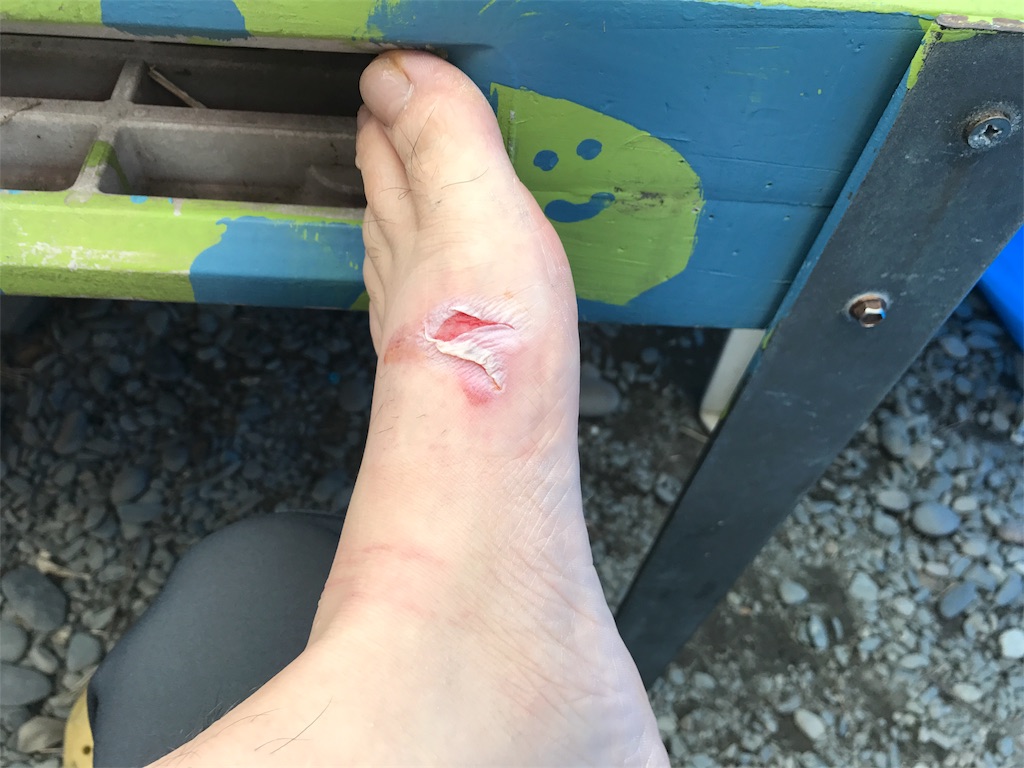 f:id:kosaku-tabi:20190124204201j:image f:id:kosaku-tabi:20190124204201j:image