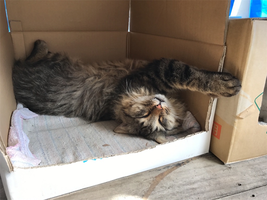 f:id:kosaku-tabi:20190321134345j:image