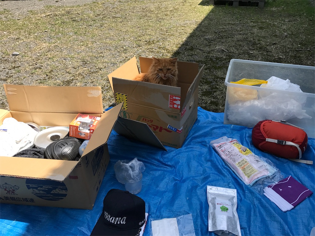 f:id:kosaku-tabi:20190329123654j:image f:id:kosaku-tabi:20190329123654j:image