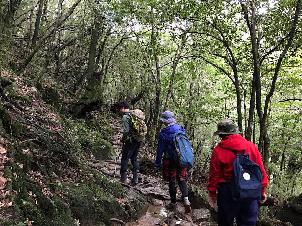 f:id:kosaku-tabi:20190331161526j:image f:id:kosaku-tabi:20190331161526j:image