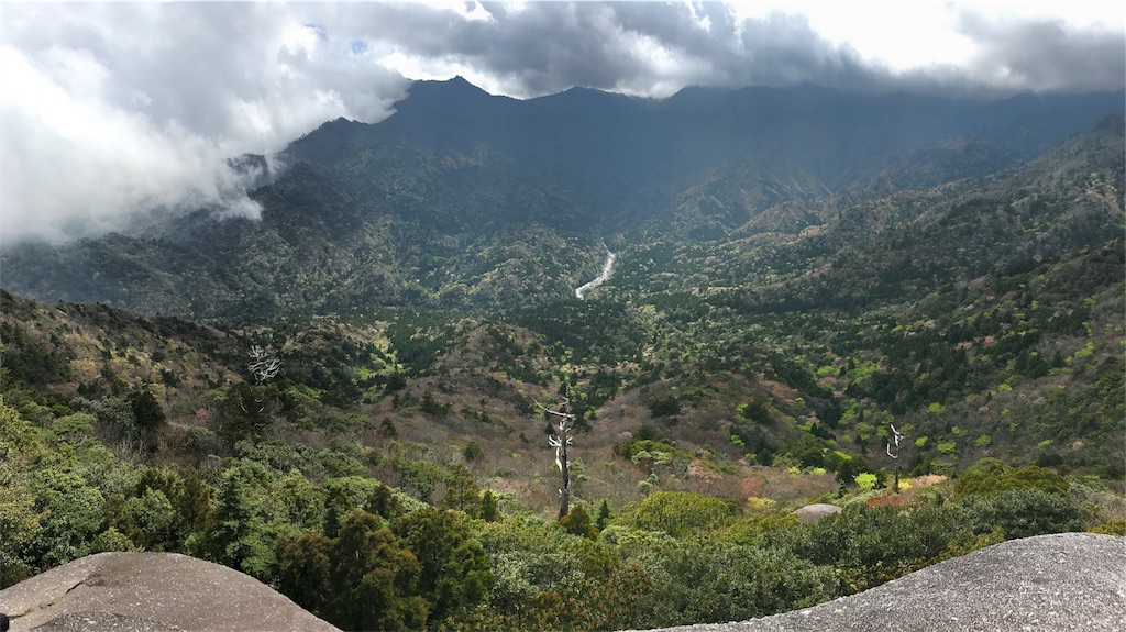 f:id:kosaku-tabi:20190331161548j:image f:id:kosaku-tabi:20190331161548j:image