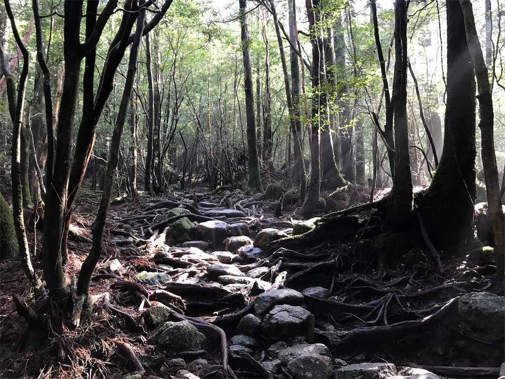 f:id:kosaku-tabi:20190331161558j:image f:id:kosaku-tabi:20190331161558j:image