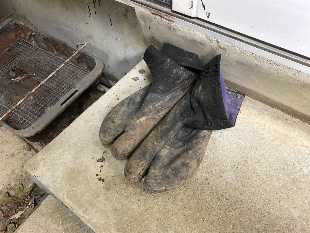 f:id:kosaku-tabi:20190419071321j:image