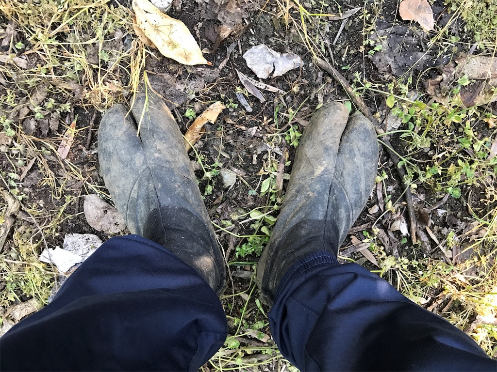 f:id:kosaku-tabi:20190419205725j:image