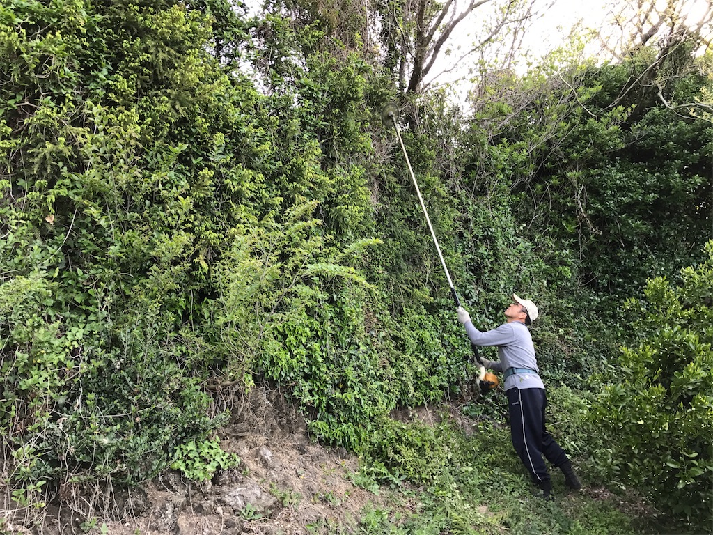 f:id:kosaku-tabi:20190419222038j:image