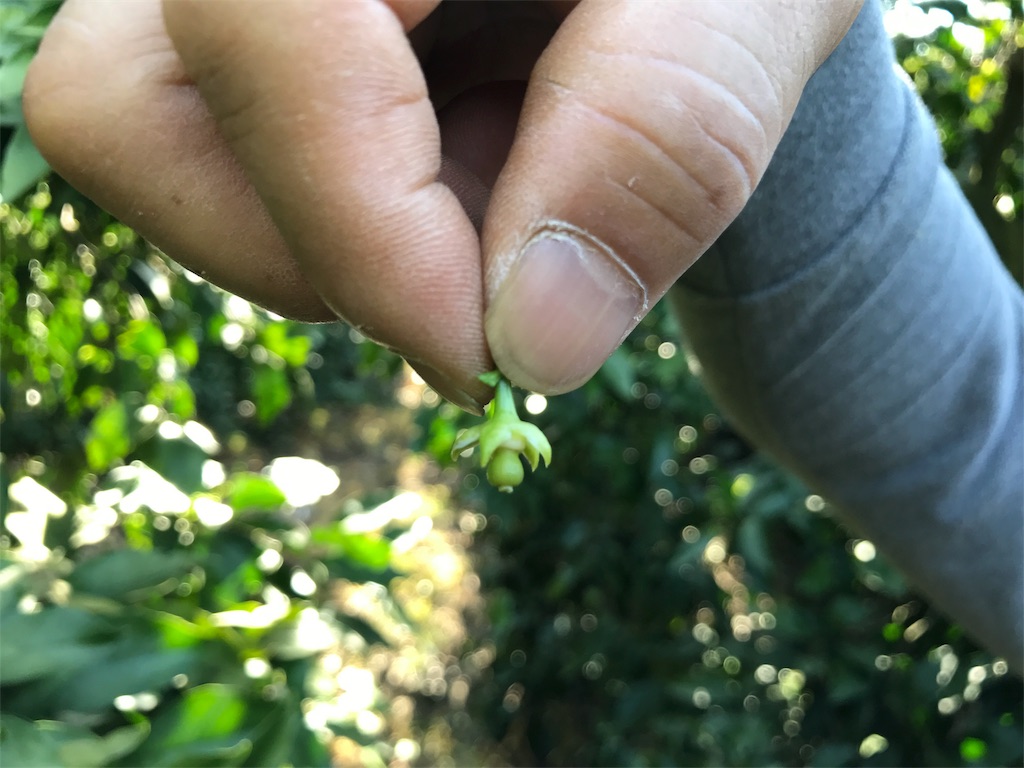 f:id:kosaku-tabi:20190419222139j:image