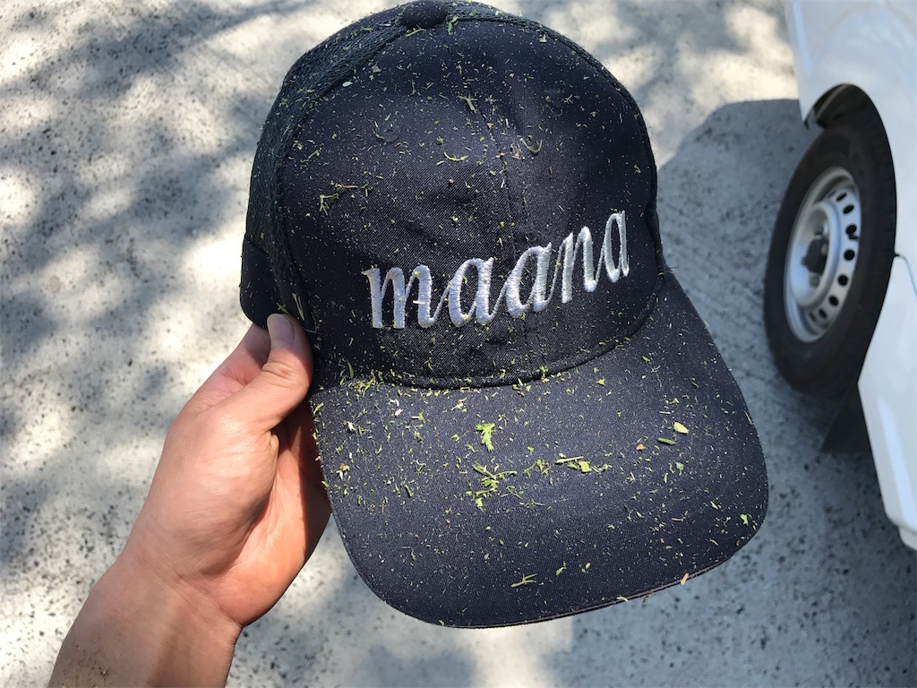 f:id:kosaku-tabi:20190419222407j:image