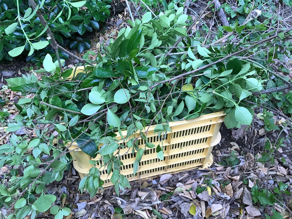 f:id:kosaku-tabi:20190420143947j:image