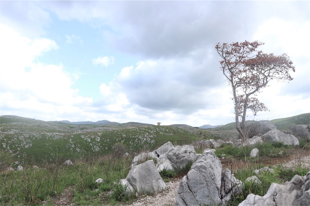 f:id:kosaku-tabi:20190430141317j:image f:id:kosaku-tabi:20190430141317j:image