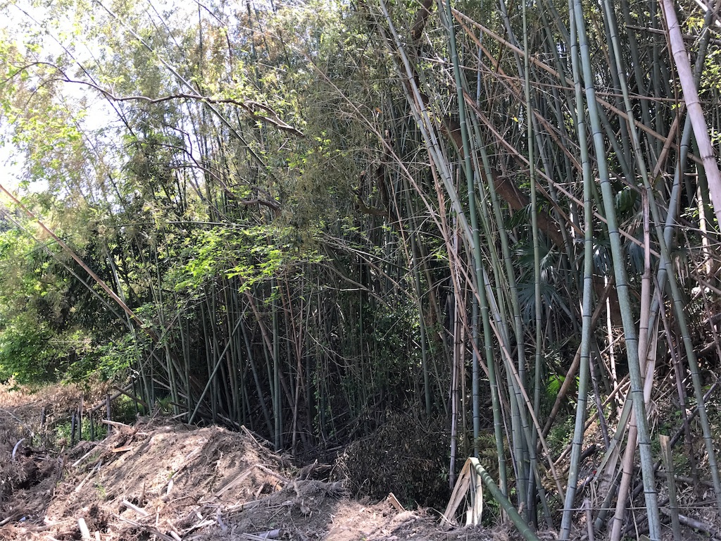 f:id:kosaku-tabi:20190513111711j:image f:id:kosaku-tabi:20190513111711j:image