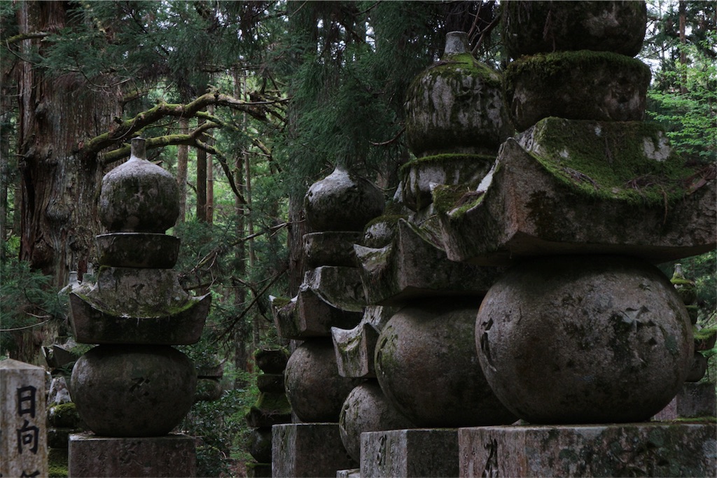 f:id:kosaku-tabi:20190519152123j:image f:id:kosaku-tabi:20190519152123j:image