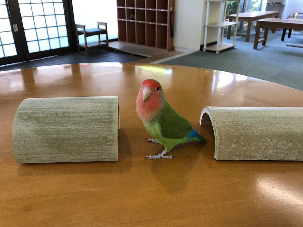 f:id:kosaku-tabi:20190528153226j:image f:id:kosaku-tabi:20190528153226j:image