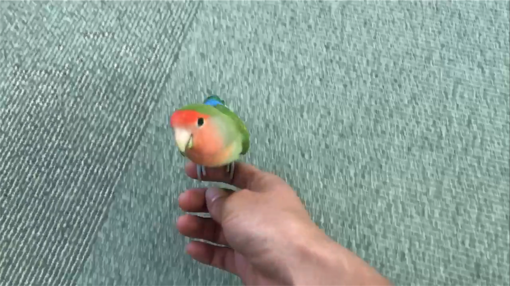 f:id:kosaku-tabi:20190528153233p:image f:id:kosaku-tabi:20190528153233p:image