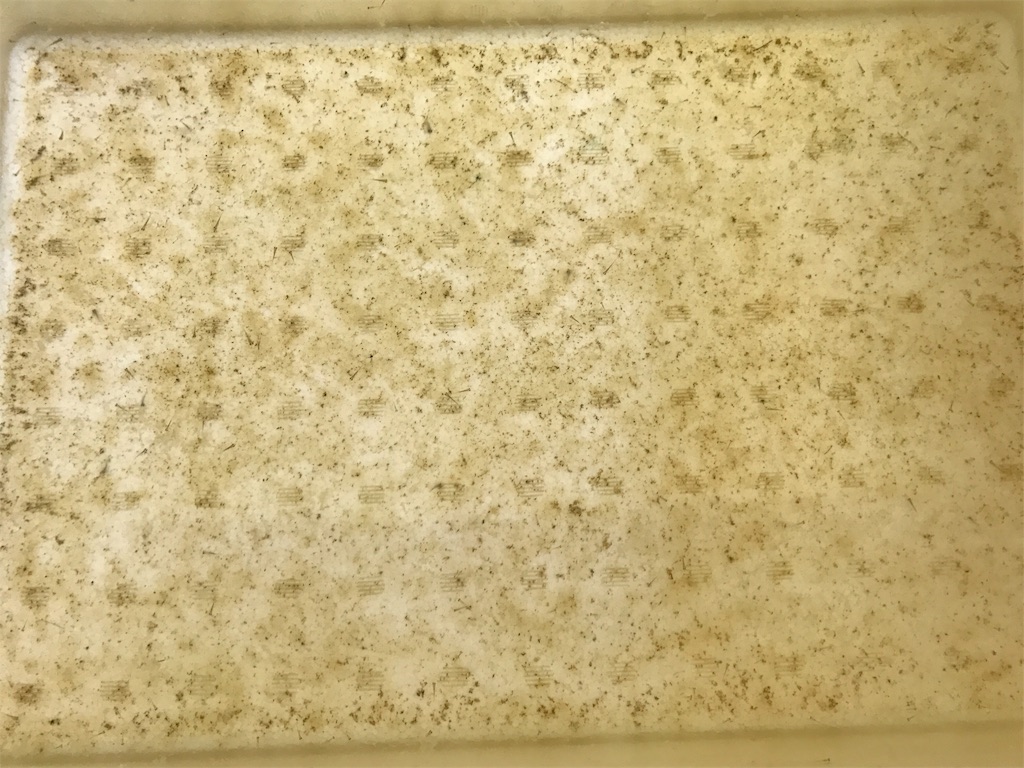 f:id:kosaku-tabi:20190528153238j:image f:id:kosaku-tabi:20190528153238j:image