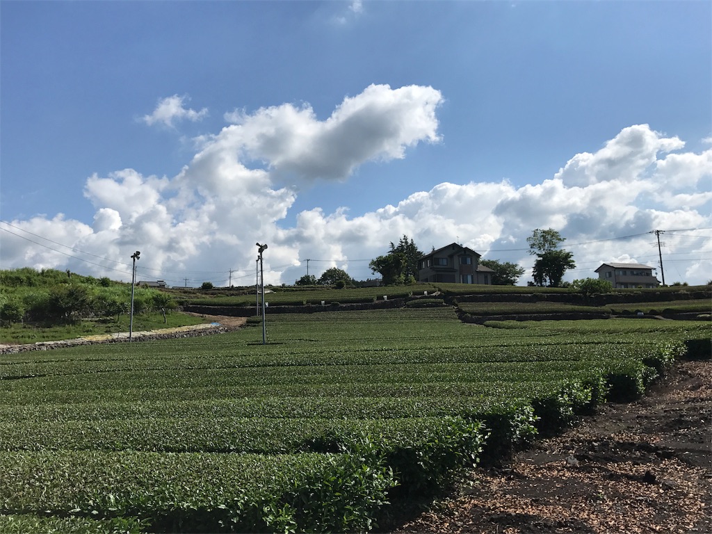 f:id:kosaku-tabi:20190603131806j:image f:id:kosaku-tabi:20190603131806j:image