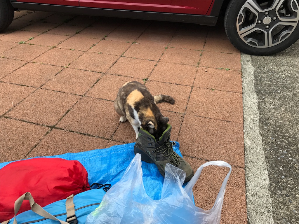 f:id:kosaku-tabi:20190610173142j:image