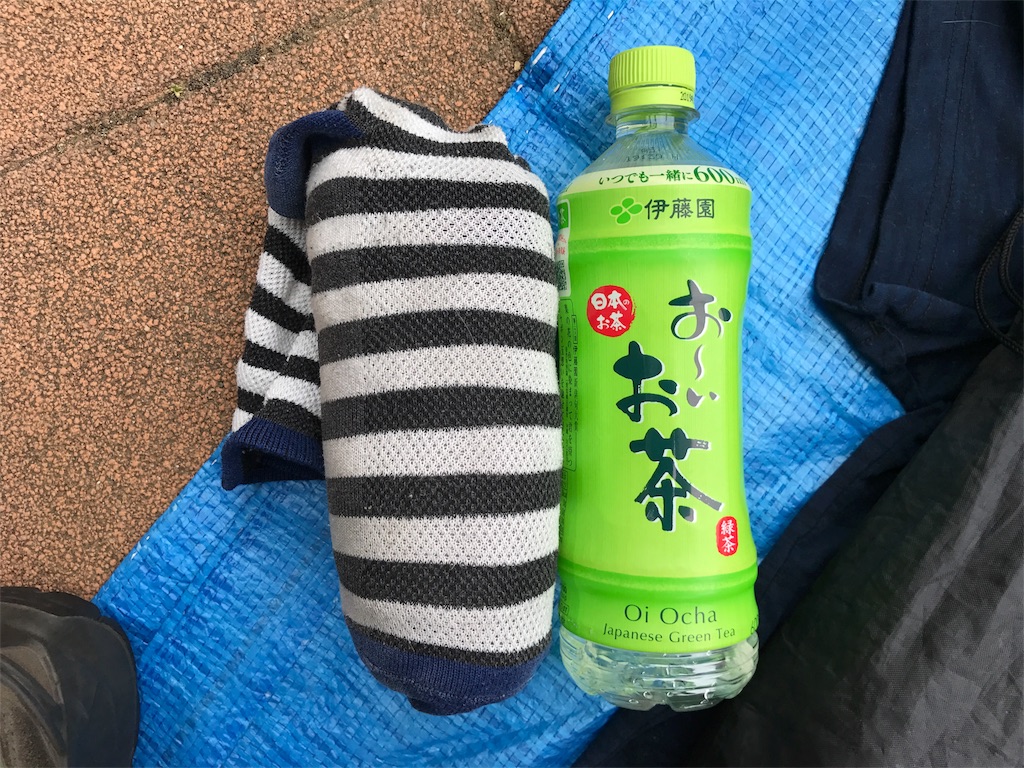 f:id:kosaku-tabi:20190610173149j:image