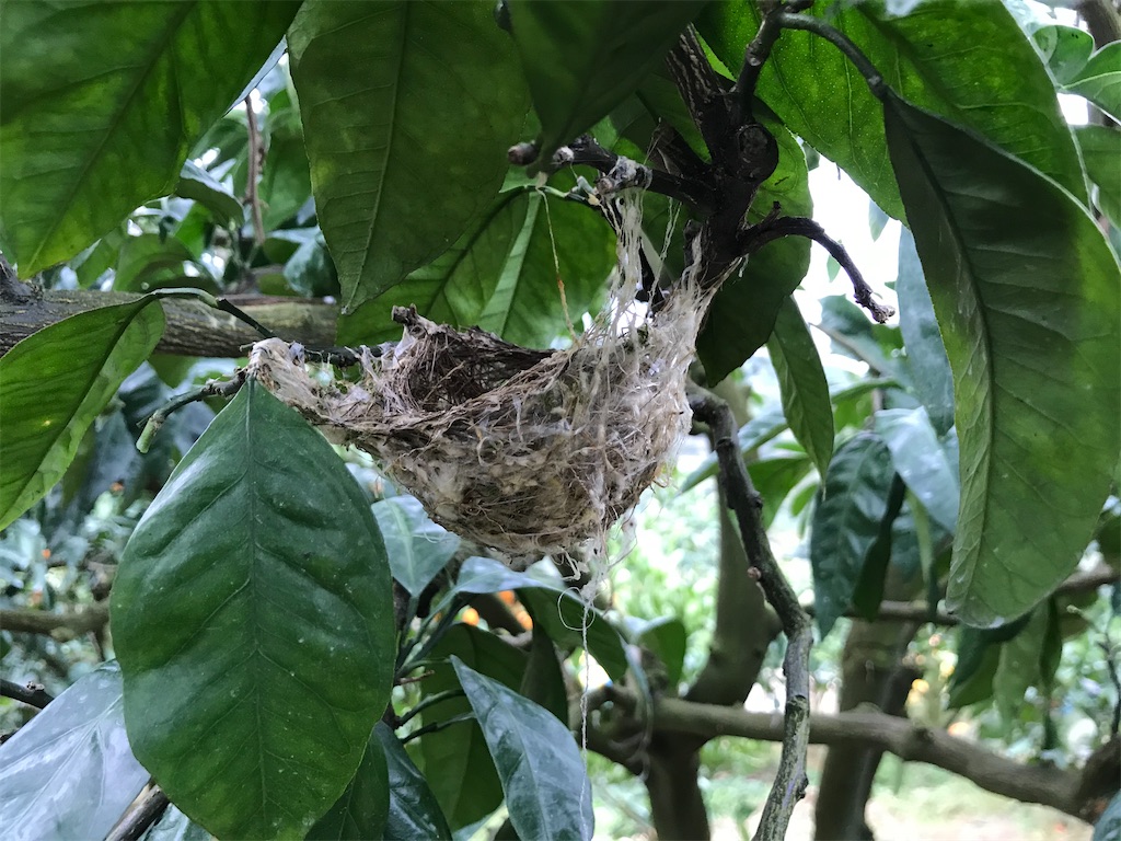 f:id:kosaku-tabi:20191227140912j:image