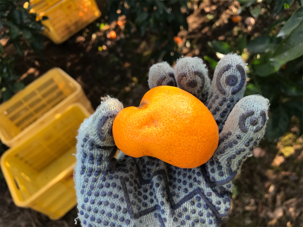 f:id:kosaku-tabi:20191227141058j:image