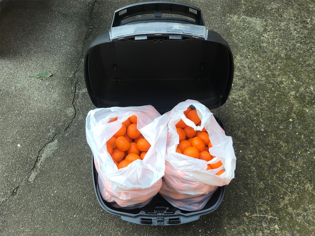 f:id:kosaku-tabi:20191227141153j:image