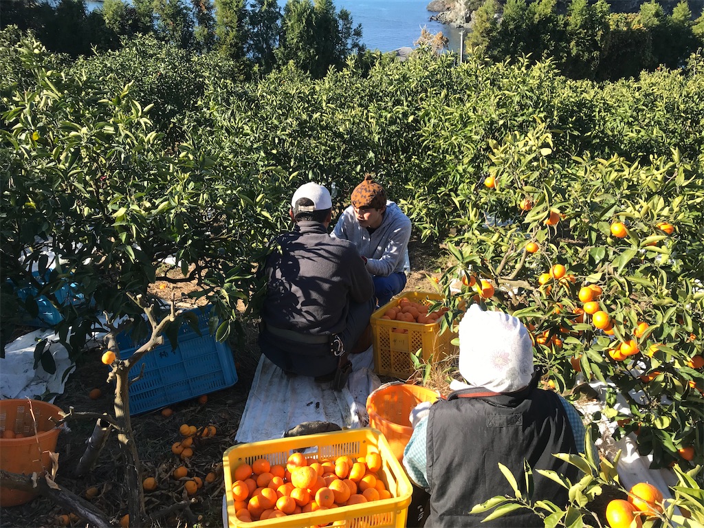 f:id:kosaku-tabi:20191227141201j:image