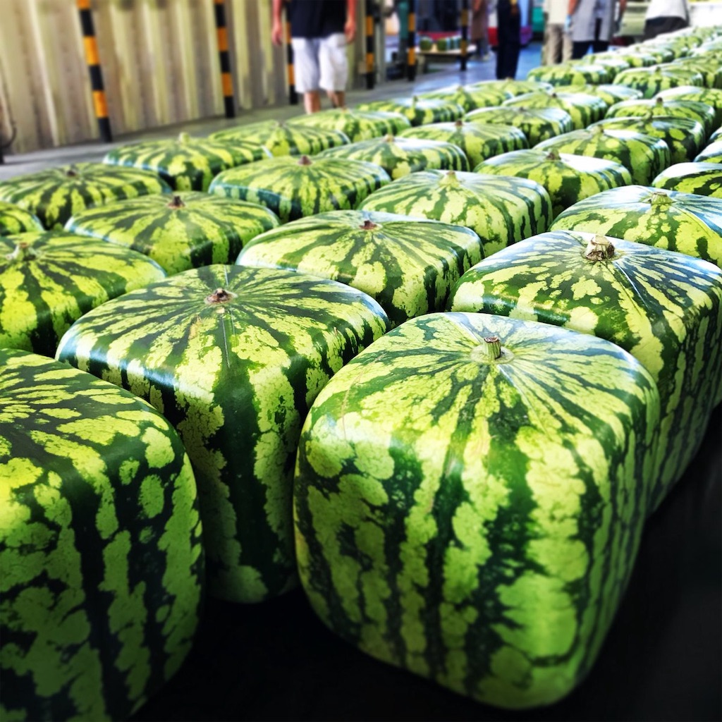 f:id:kosaku-tabi:20200109153216j:image