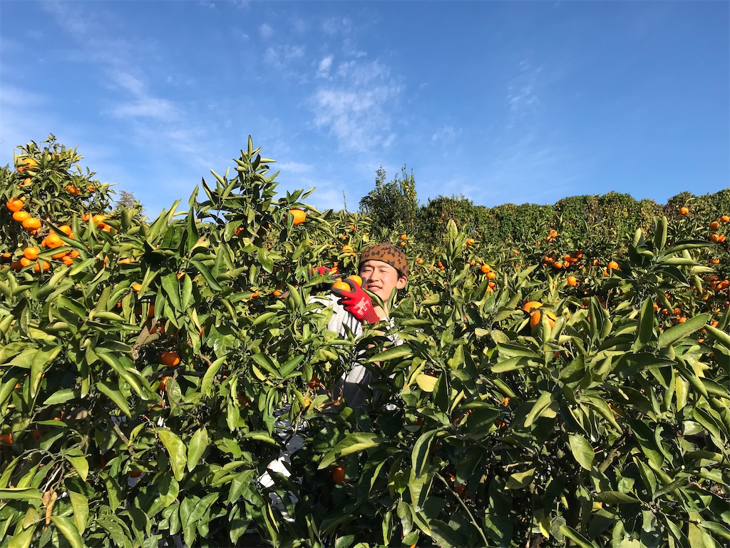 f:id:kosaku-tabi:20200110114537j:image