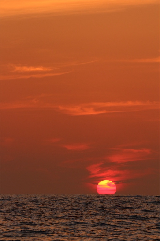 f:id:kosaku-tabi:20200507120529j:image