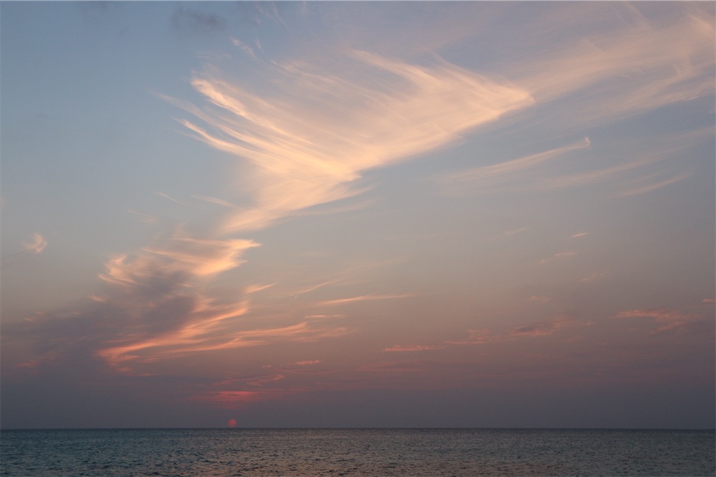 f:id:kosaku-tabi:20200507120537j:image