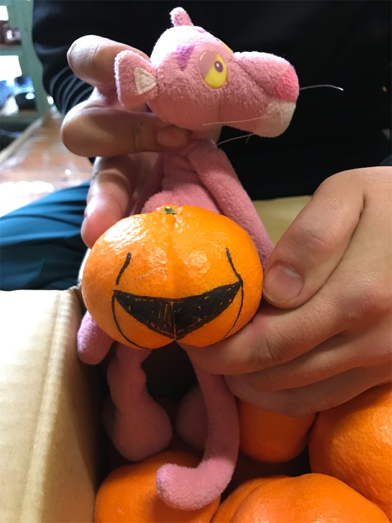 f:id:kosaku-tabi:20210202165142j:image