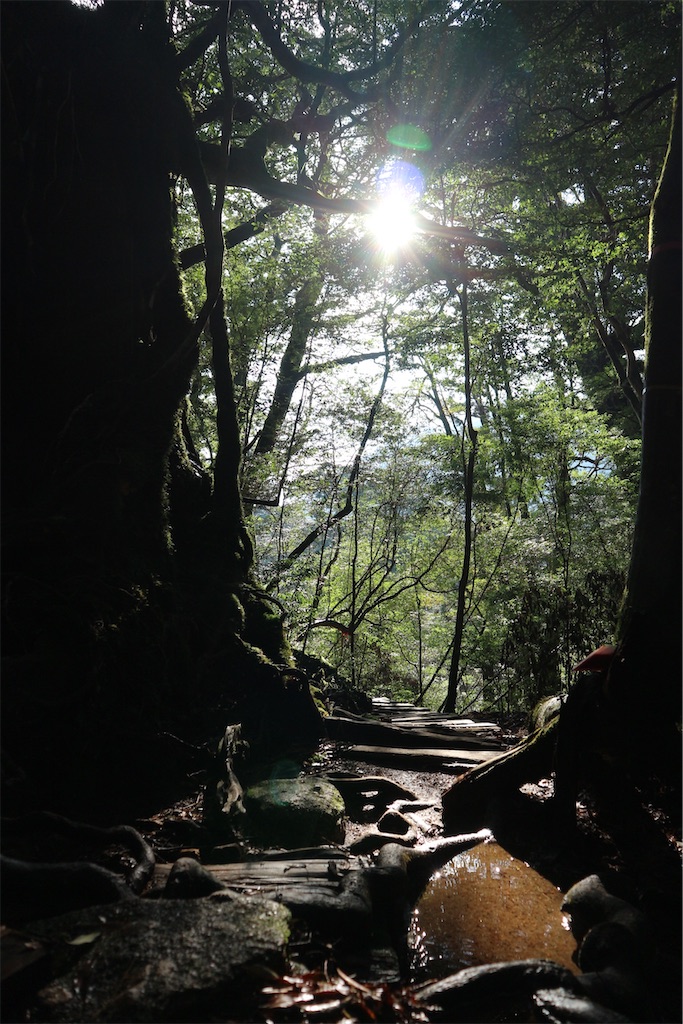 f:id:kosaku-tabi:20210211134529j:image