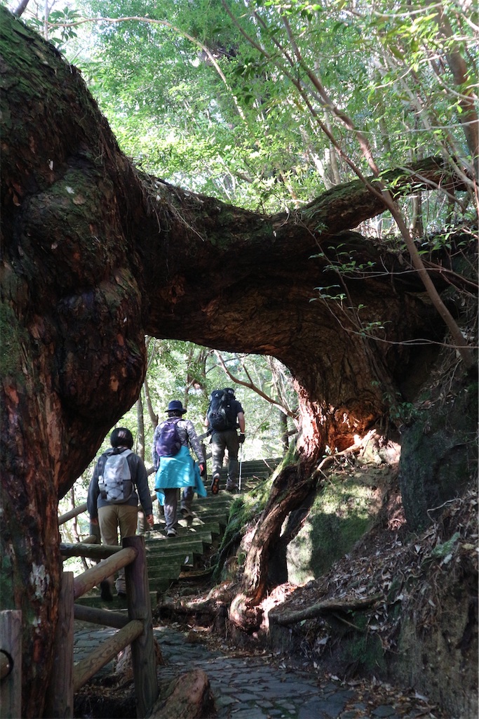 f:id:kosaku-tabi:20210211134703j:image