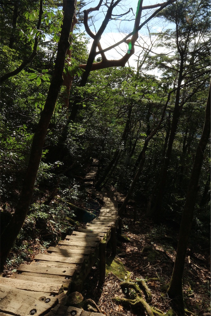 f:id:kosaku-tabi:20210211144244j:image