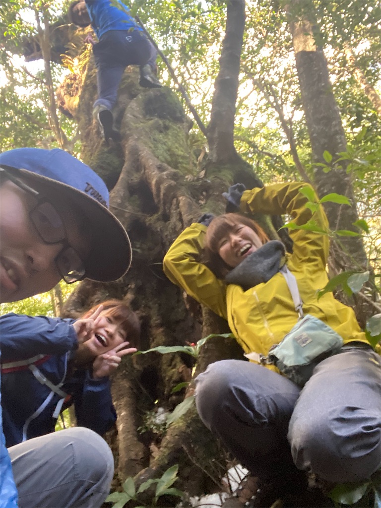 f:id:kosaku-tabi:20210211155119j:image