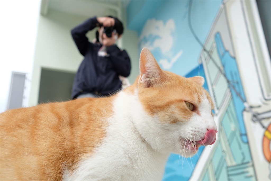 f:id:kosaku-tabi:20210531134338j:image