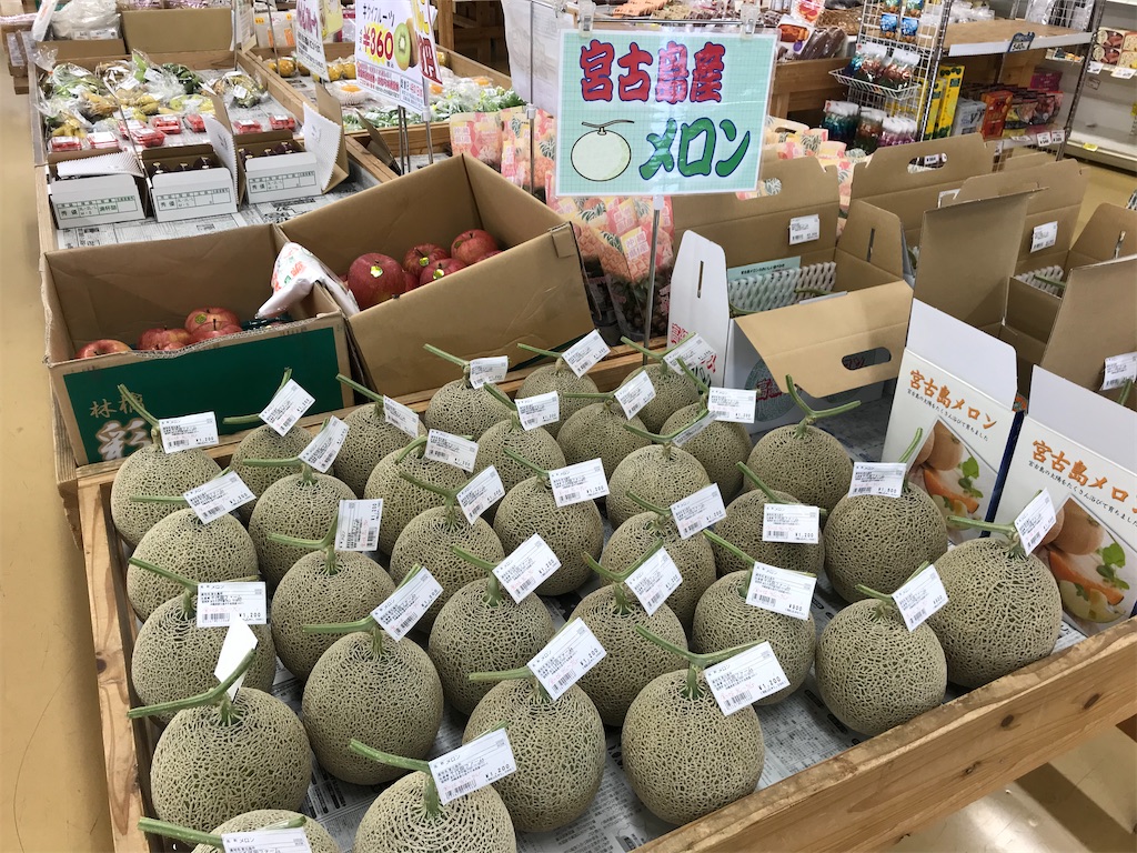 f:id:kosaku-tabi:20210531135209j:image