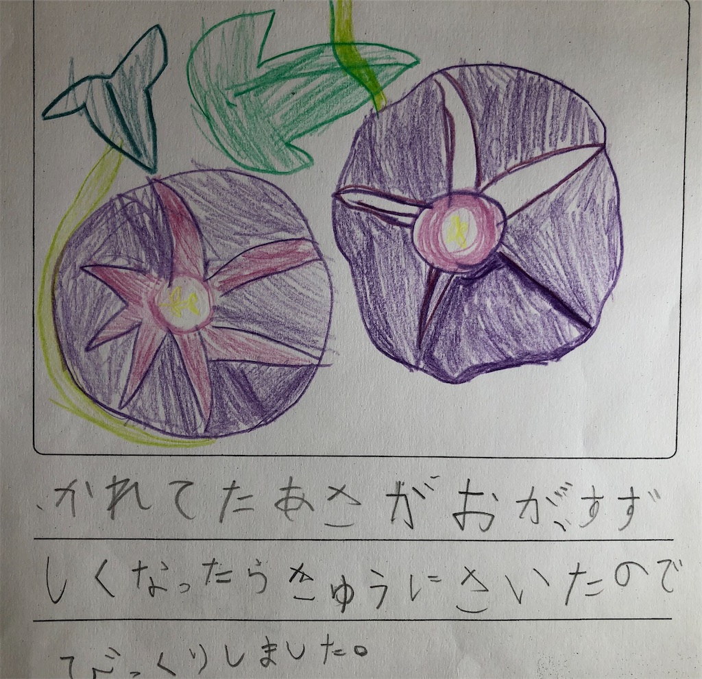 f:id:kosakukko:20210829144849j:image