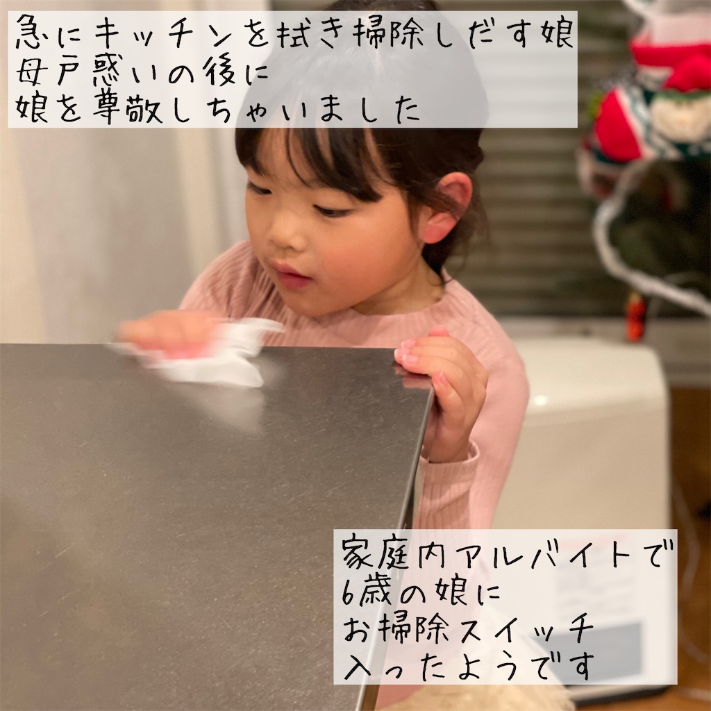 f:id:kosame_nochi:20201219194950j:image f:id:kosame_nochi:20201219194950j:image