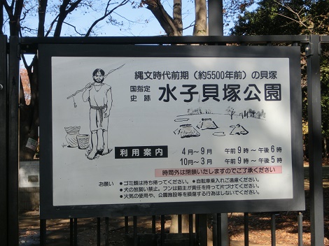 水子貝塚公園 ☆ 埼玉県富士見市 anzuのブログ