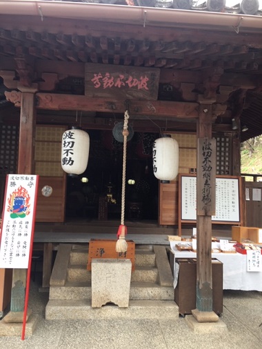 イメージ 6