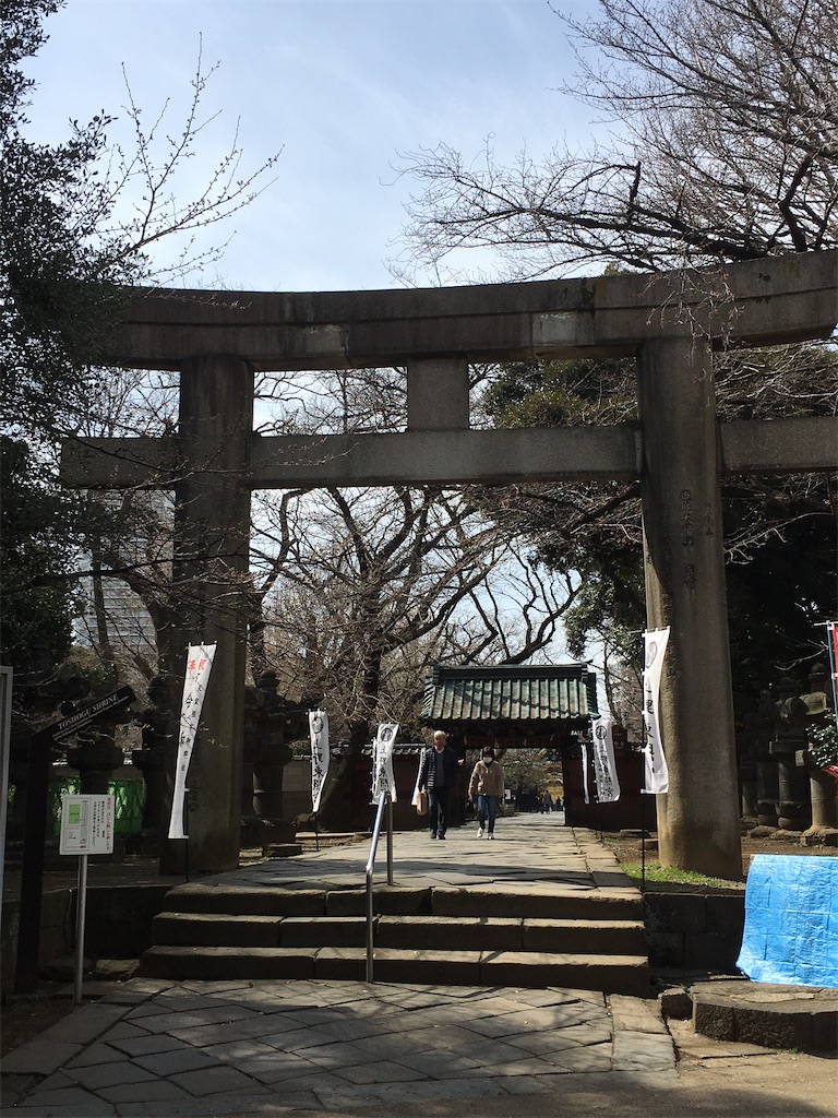 f:id:kosamebitaki733:20200318095839j:image f:id:kosamebitaki733:20200318095839j:image