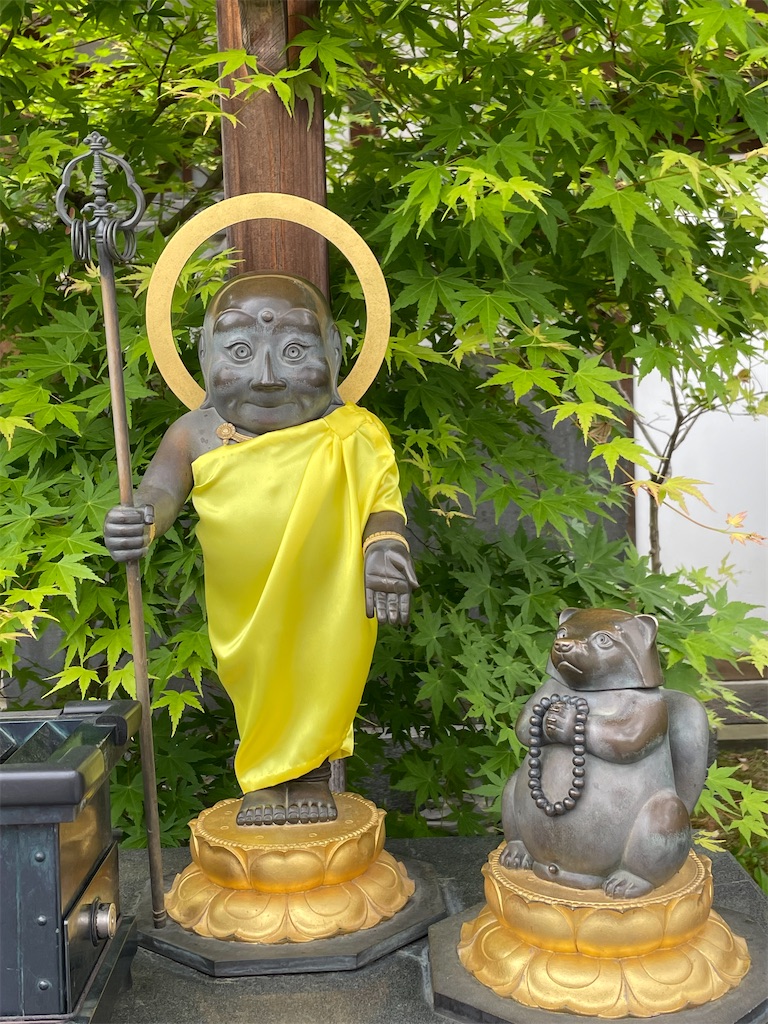 f:id:kosamebitaki733:20220521134656j:image f:id:kosamebitaki733:20220521134656j:image