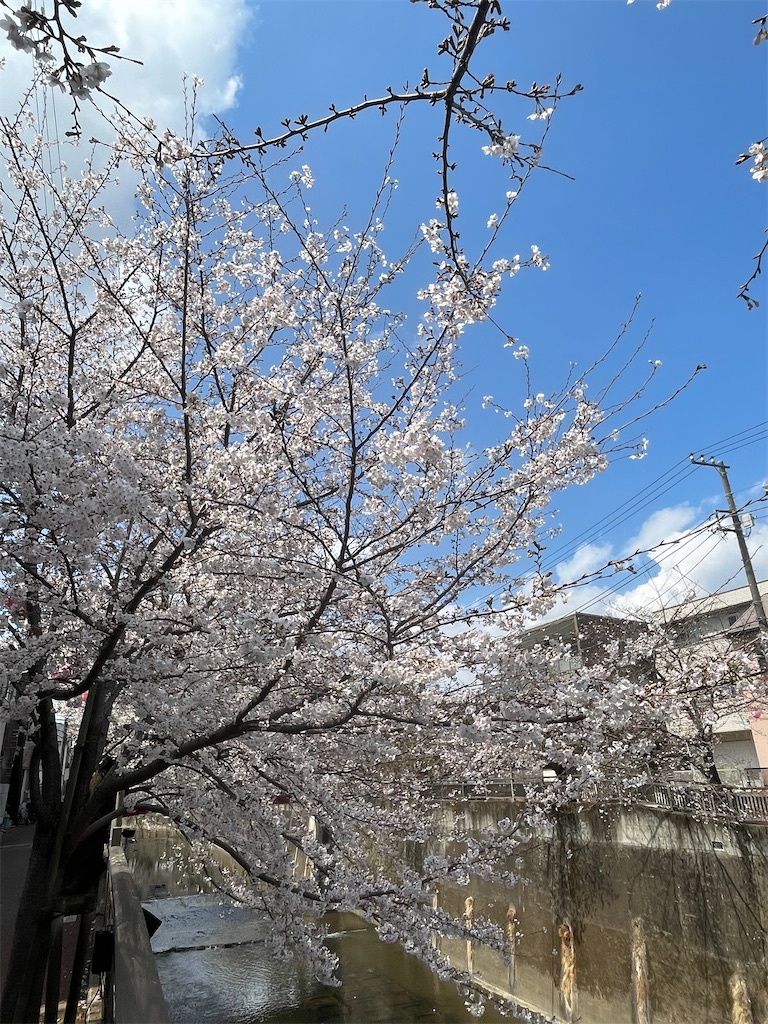 f:id:kosamebitaki733:20260329151659j:image f:id:kosamebitaki733:20260329151659j:image