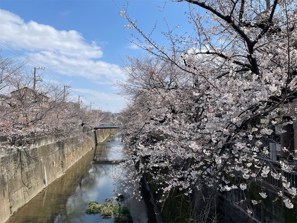 f:id:kosamebitaki733:20260329151702j:image f:id:kosamebitaki733:20260329151702j:image