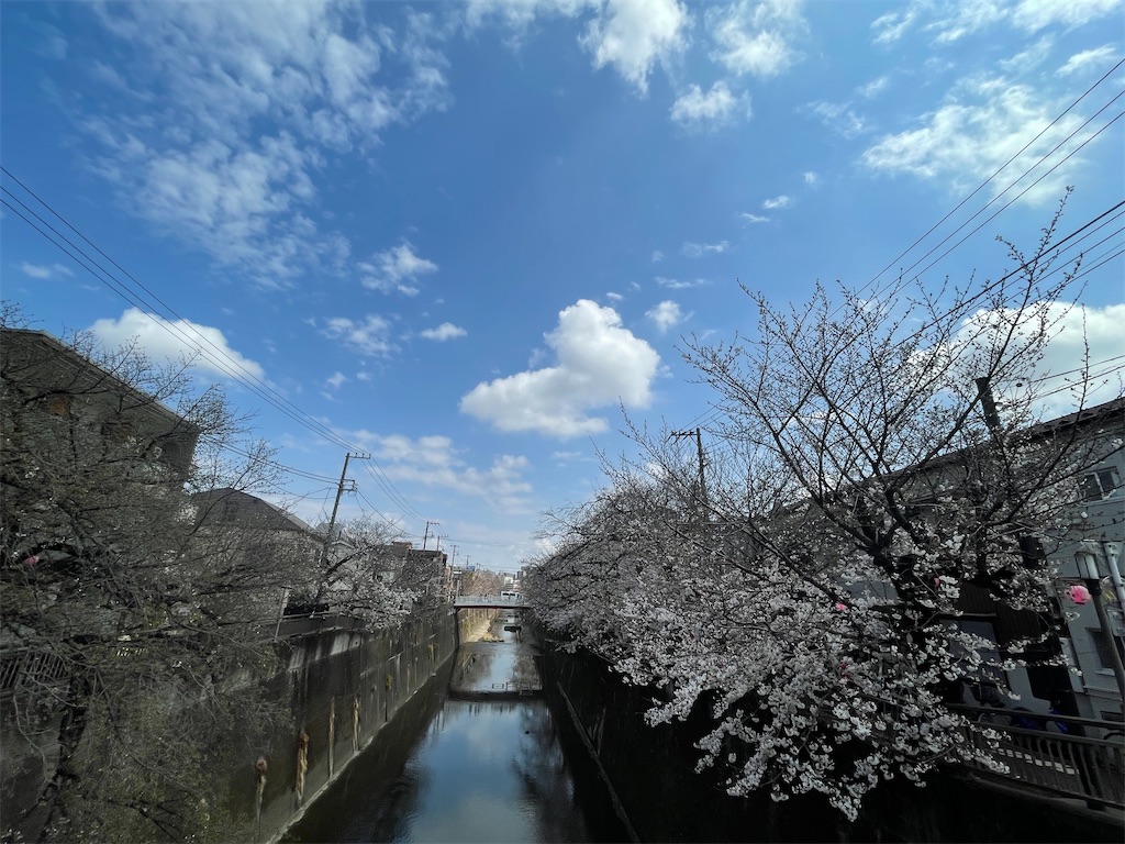 f:id:kosamebitaki733:20260329151707j:image f:id:kosamebitaki733:20260329151707j:image
