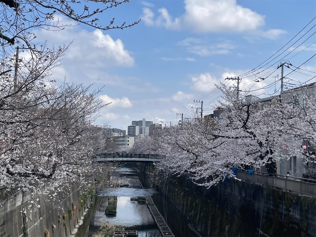 f:id:kosamebitaki733:20260329151710j:image f:id:kosamebitaki733:20260329151710j:image